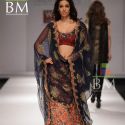 Wills Lifestyle India Fashion Week (WIFW) 2010 Day