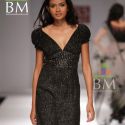 Wills Lifestyle India Fashion Week (WIFW) 2010 Day