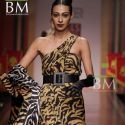 Wills Lifestyle India Fashion Week (WIFW) 2010 Day