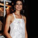 Annu Chadda Exhibition Co Hosted by Kiran Bawa