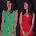 Barfi Movie Trailor Launch