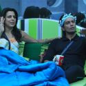 Bigg Boss Season 5