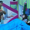 Bigg Boss Season 5