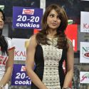 Celebrity Cricket League 2013