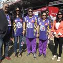 Celebrity Cricket League 2013