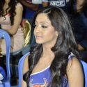 Celebrity Cricket League 2013