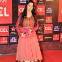 Celebrity Cricket League 2013 Red Carpet
