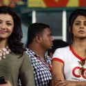 Celebrity Cricket League 2013