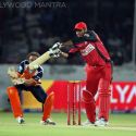Celebrity Cricket League 2013