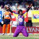 Celebrity Cricket League 2013