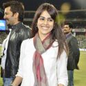 Celebrity Cricket League 2013