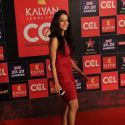 Celebrity Cricket League 2013