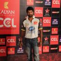 Celebrity Cricket League 2013