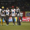 Celebrity Cricket League 2013