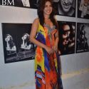 Dabboo Ratnani 2012 Calendar Launch