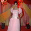 Deepshika's Sangeet and Mehndi