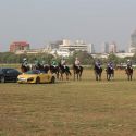 Delna Poonawala Show at Audi Polo Cup