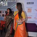 FICCI Frames 2013
