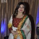 Ganesh Hegde Wedding Grand Reception