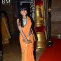 Ganesh Hegde Wedding Grand Reception