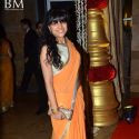 Ganesh Hegde Wedding Grand Reception