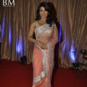 Ganesh Hegde Wedding Grand Reception