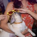 Golmaal Store New Collection Launch