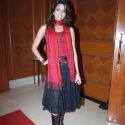 Haath Se Haath - Red Carpet