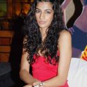 Khatron Ke Khiladi Season 2 Launch