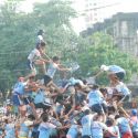 Krishna Janmashtami Dahi Gandi Celebration 2011