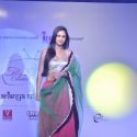 Launch of Telly Calendar 2013