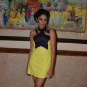 Launch of Telly Calendar 2013