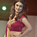 Launch of Telly Calendar 2013