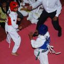 Maharashtra State Open Taekwondo Competition
