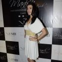 Manish Chaturvedi 2013 Calendar Launch