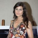 Manish Chaturvedi 2013 Calendar Launch