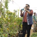 Nana Chudasama's Plant Exhibition