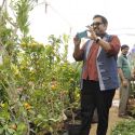 Nana Chudasama's Plant Exhibition