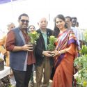 Nana Chudasama's Plant Exhibition