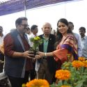 Nana Chudasama's Plant Exhibition