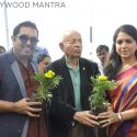 Nana Chudasama's Plant Exhibition