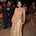 Nandita Mahtani's Brother Bharat's Wedding Recepti