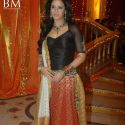 Ratan Rajput Mehndi Ceremony