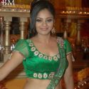 Ratan Rajput Mehndi Ceremony