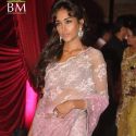 Riteish-Genelia's Wedding Reception