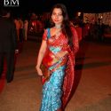 Sandesh Mayekar Daughter Shivani Wedding Reception