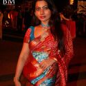 Sandesh Mayekar Daughter Shivani Wedding Reception