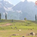 Exclusive Unseen & unreleased of tour with Shankar
