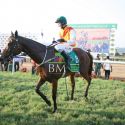 Signature Indian Derby