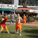 Signature Indian Derby